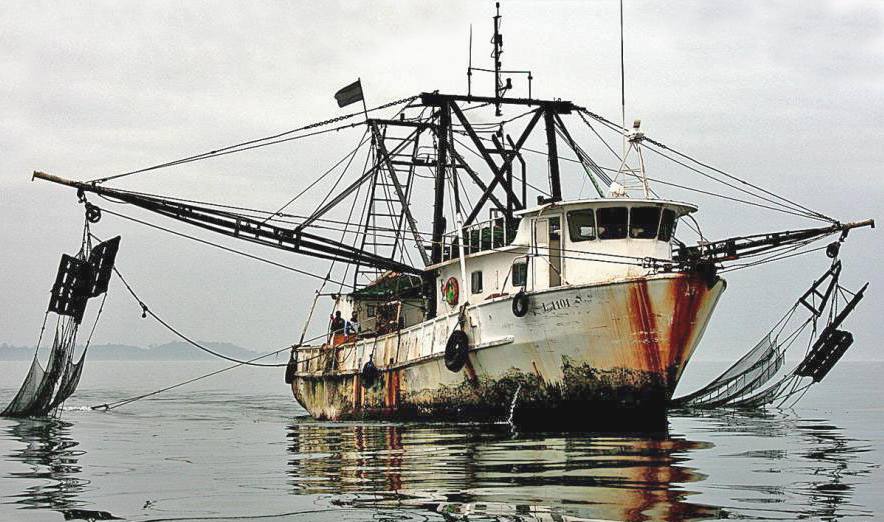 Unreported fishing activities are illegal